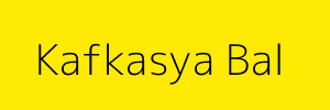 Kafkasya Bal